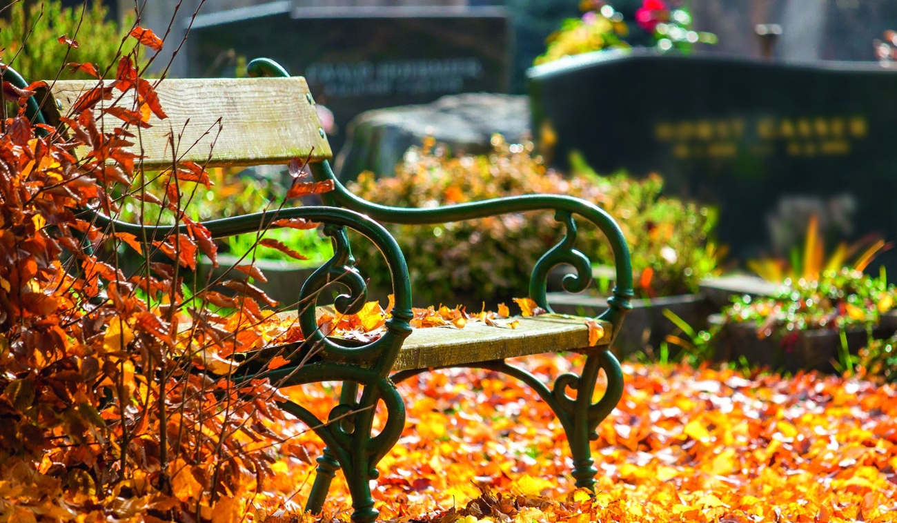 FUNECAP-GROUPE memorial bench.jpg Image