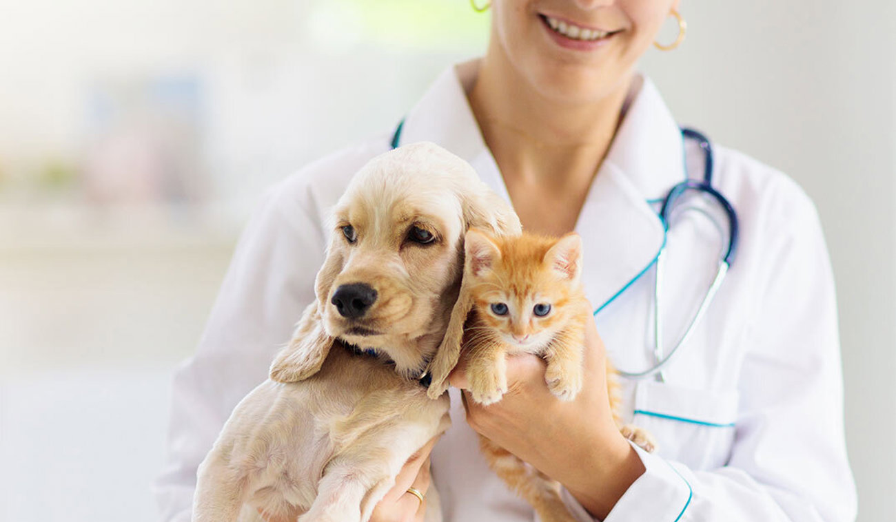 Animalcare Banner 6 Image